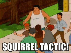 Tactical Meetings: Squirrel Tactic!