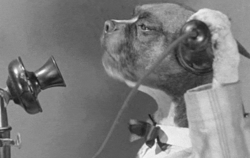 Dogs talking on old fashioned phones